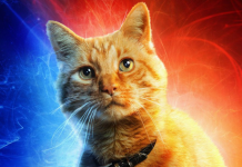 karakter kucing di film Captain Marvel